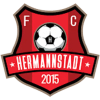 AFC Hermannstadt Logo